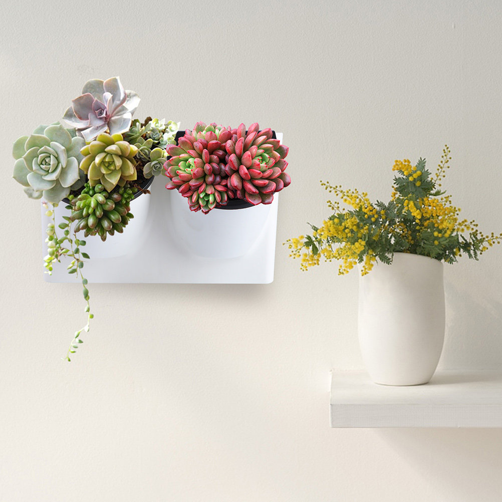 Succulent Planter Pot - Zelfwaterende bloempot van plastic, paarse plantenbak,