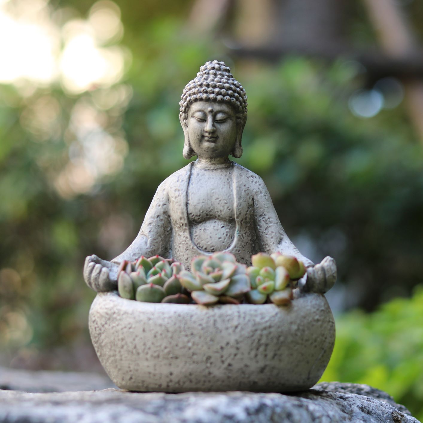 Succulent Planter Pot - Mediteerende Boeddha succulenten plantenpot, hars Zen