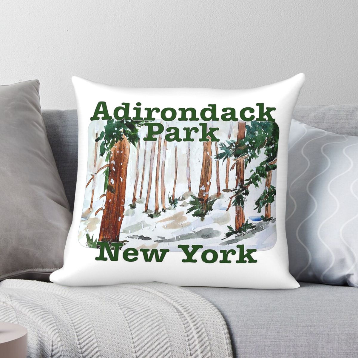 Adirondack Park New York Kusse - Home Decor New York recensie en prijs