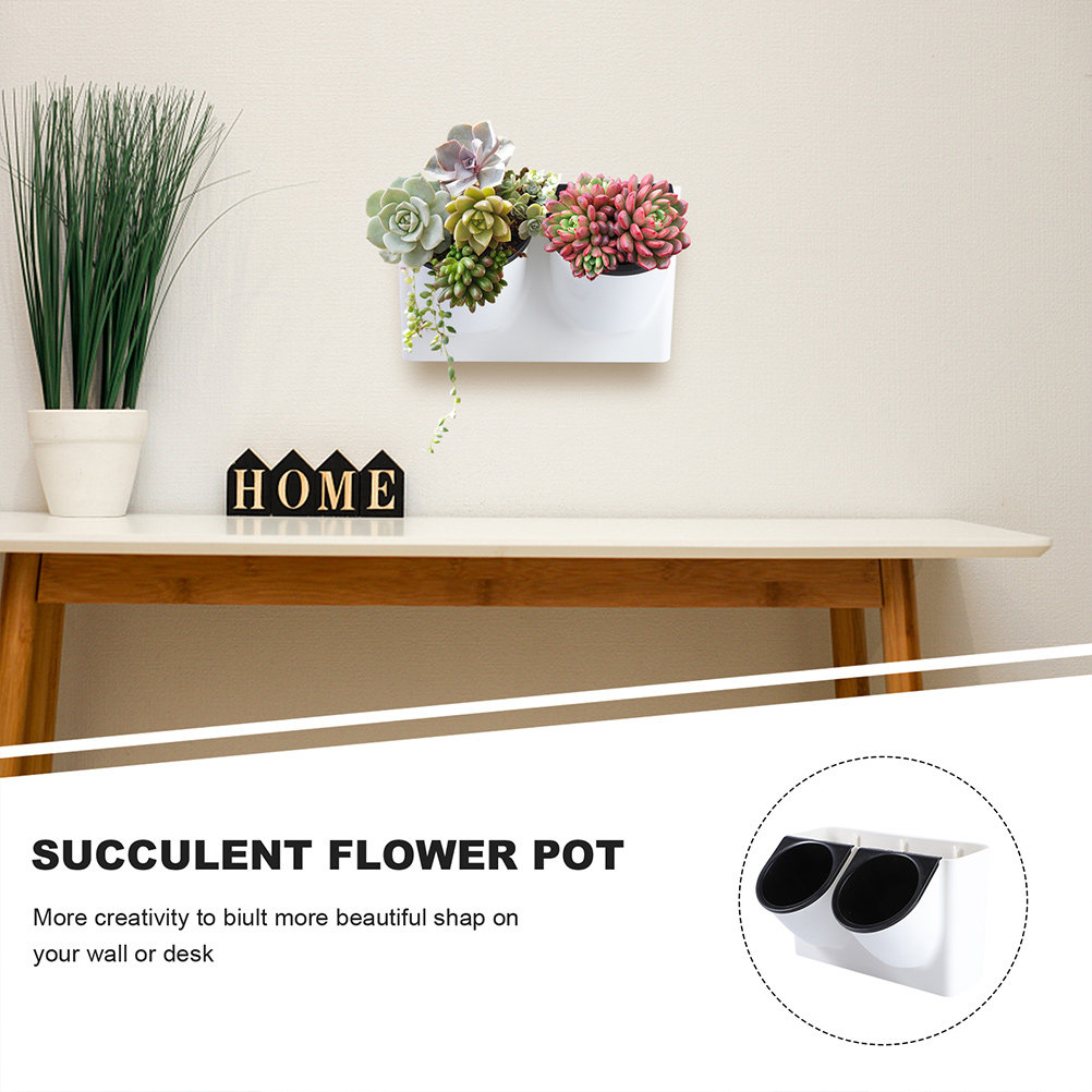 Zelfwaterende bloempot van pla - Succulent Planter Pot recensie en prijs