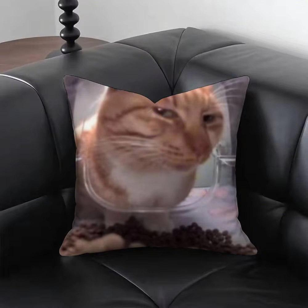 Grappige Kat M-Meme Kussensloo - Home Decor Emoji recensie en prijs