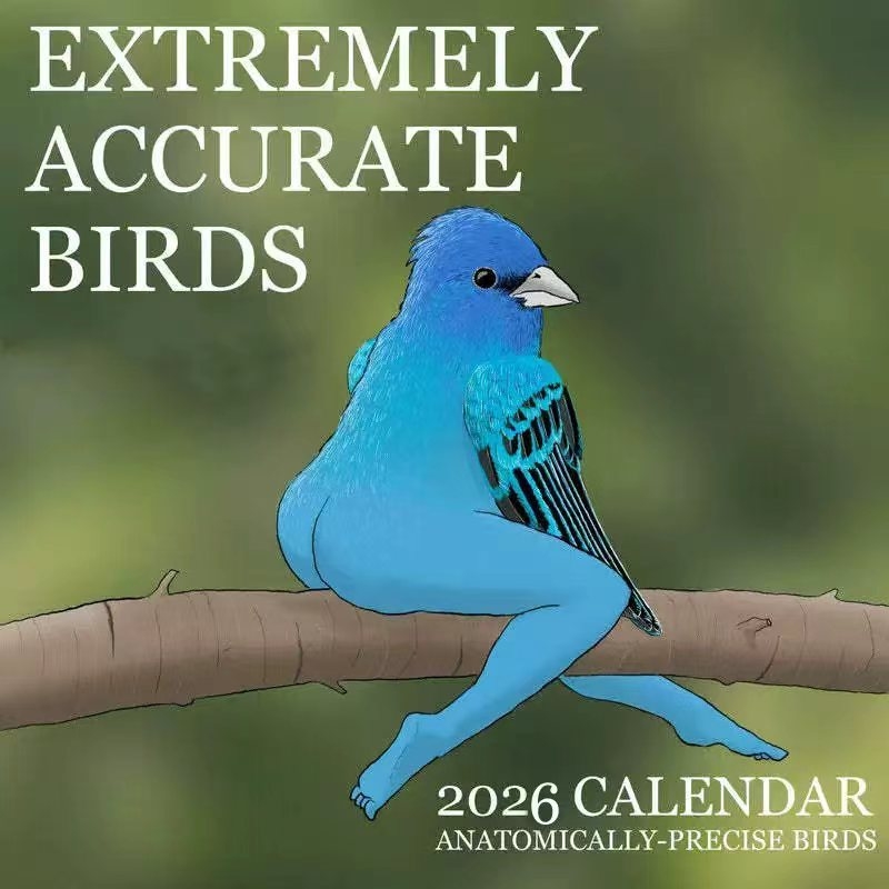 KALENDER VAN EXTREMELY ACCURAT - Home Decor Xmas Gifts recensie en prijs