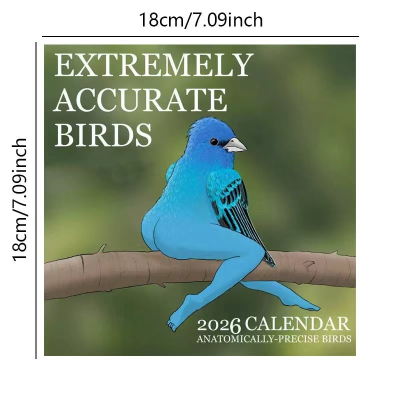 KALENDER VAN EXTREMELY ACCURAT - Home Decor Xmas Gifts recensie en prijs