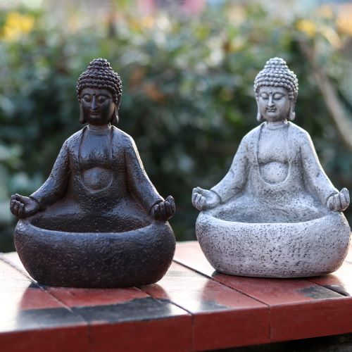 Mediteerende Boeddha succulent - Succulent Planter Pot recensie en prijs