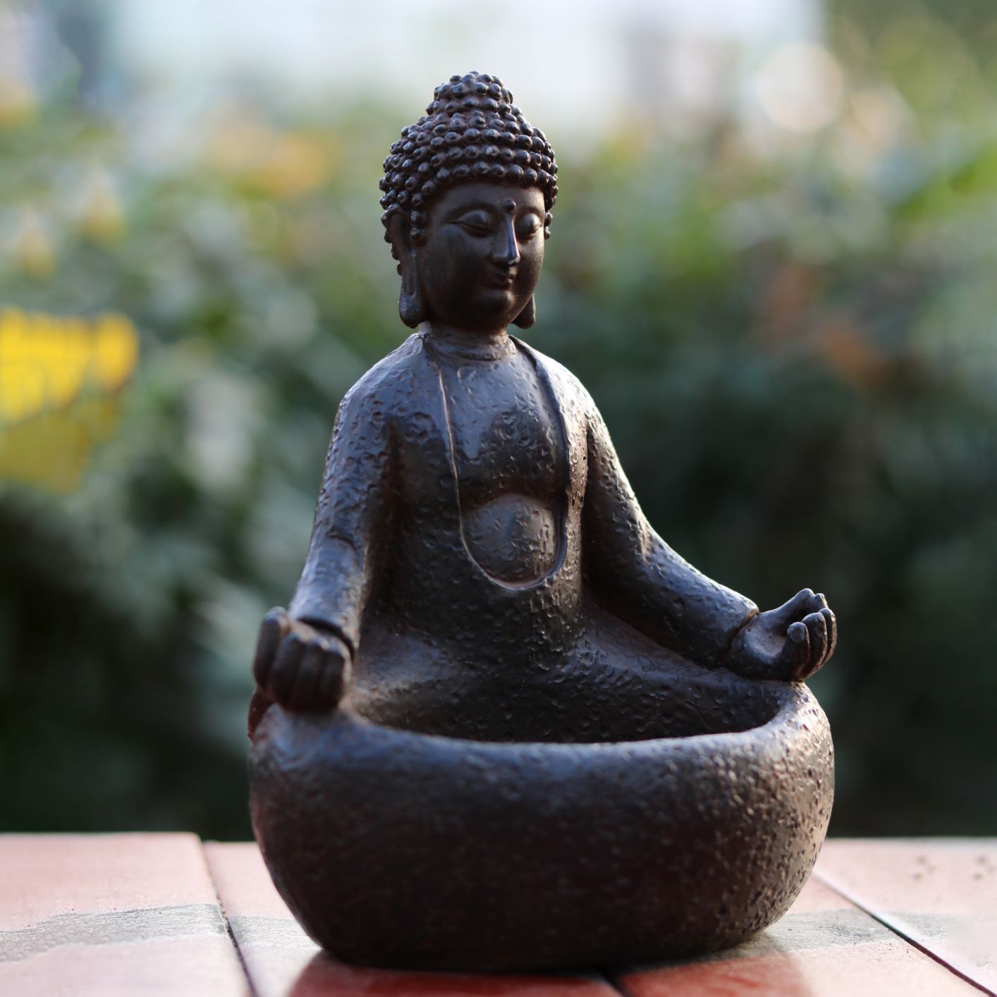 Mediteerende Boeddha succulent - Succulent Planter Pot recensie en prijs