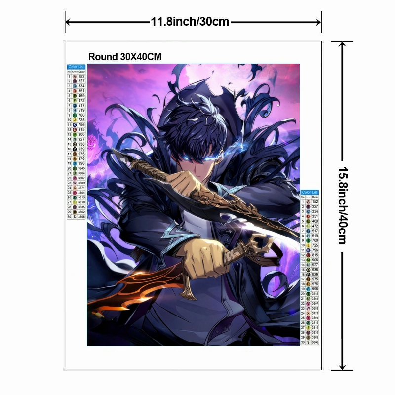 Solo Leveling Anime Volledige  - Home Decor Solo recensie en prijs