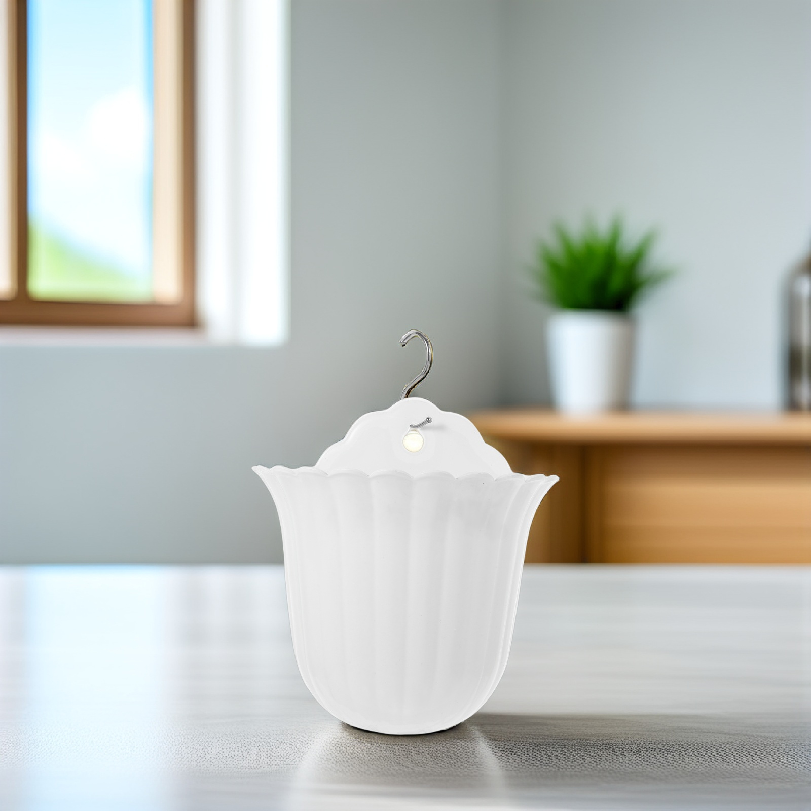 2 stuks muurplantenhouder voor - Succulent Planter Pot recensie en prijs