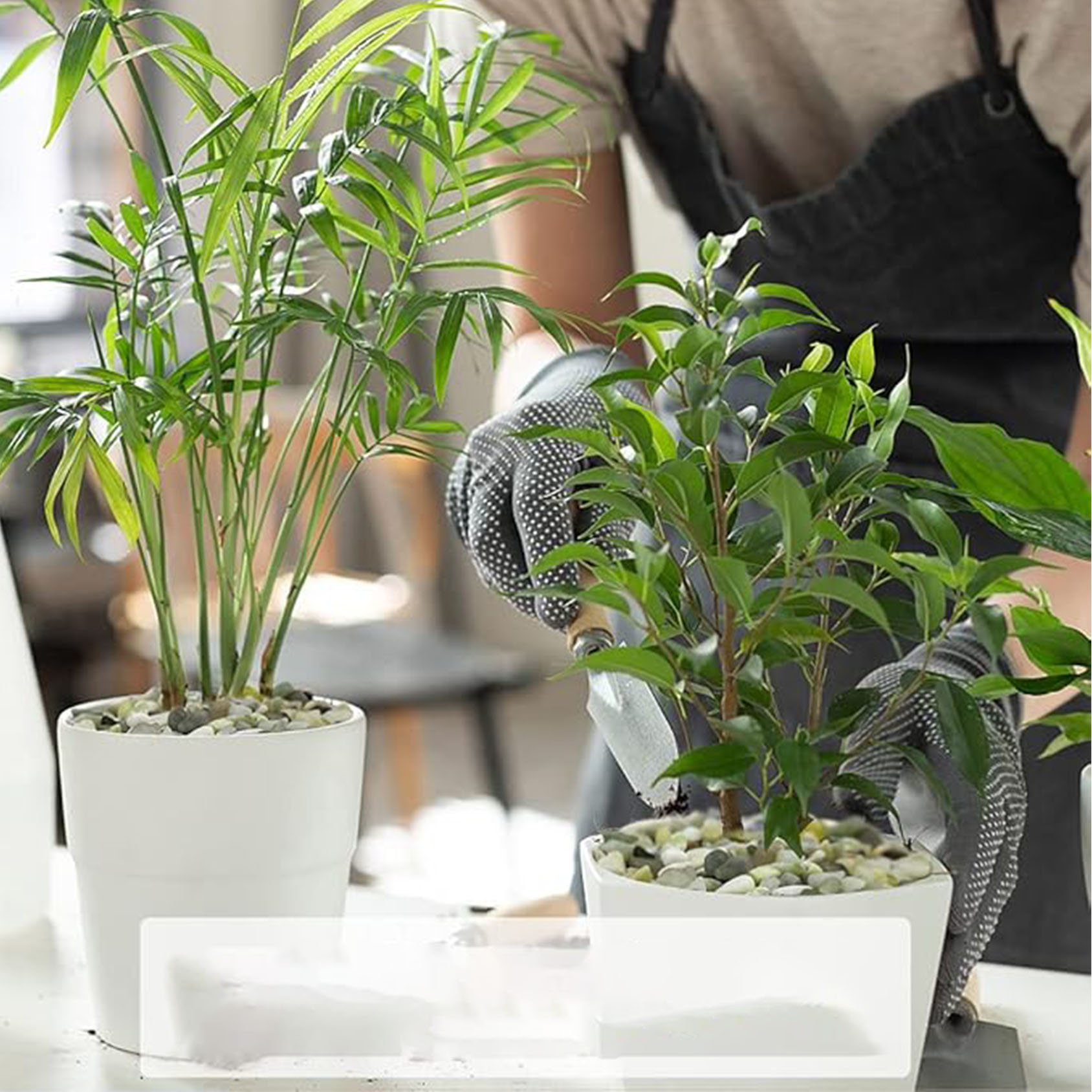 Sappige en cactuskiezels, 1/5  - Succulent Planter Pot recensie en prijs
