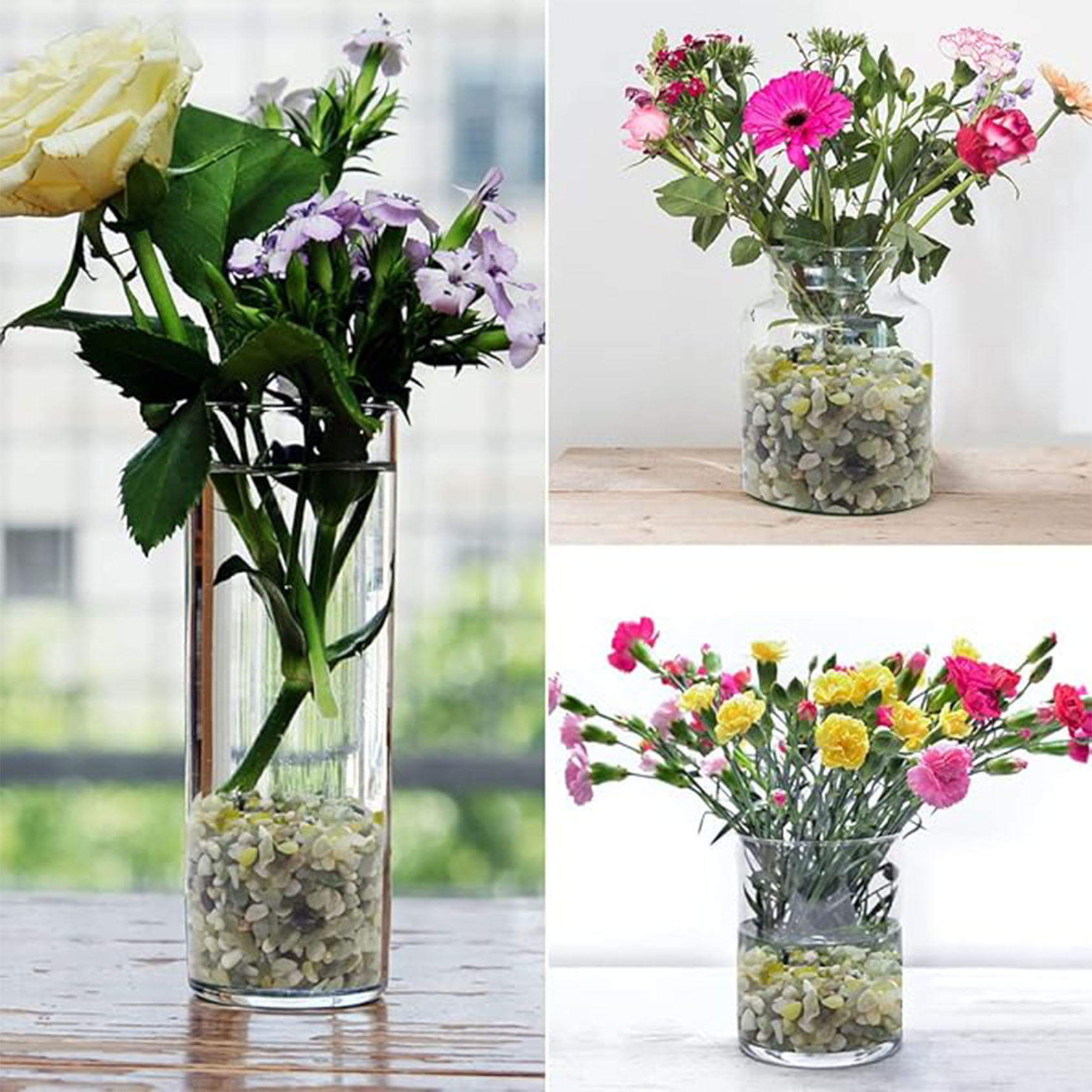 Sappige en cactuskiezels, 1/5  - Succulent Planter Pot recensie en prijs
