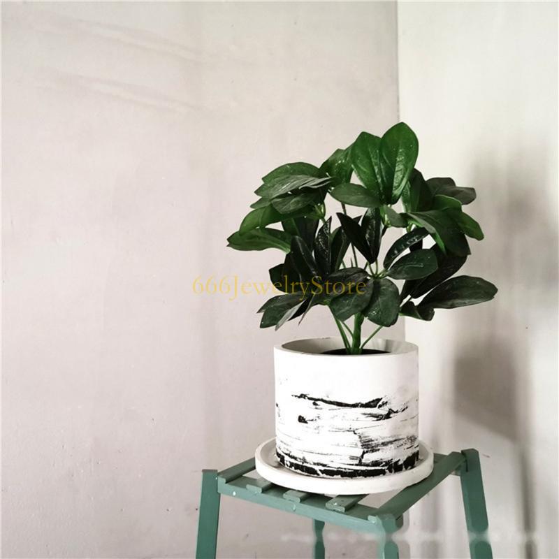 F2TD grote ronde sappige plant - Succulent Planter Pot recensie en prijs