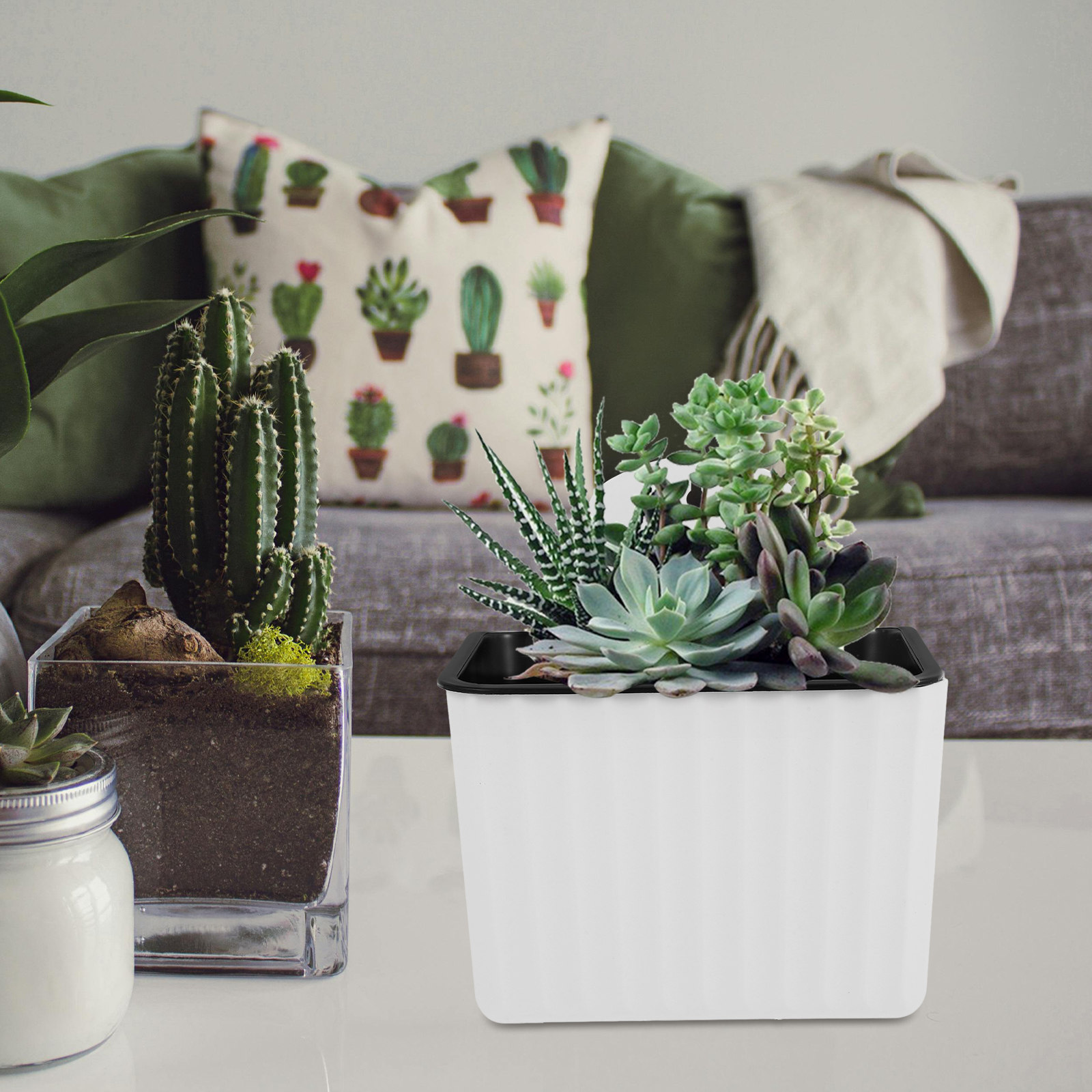 2 stuks zelfwatergevende bloem - Succulent Planter Pot recensie en prijs